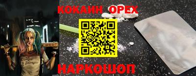 круглые Владимир