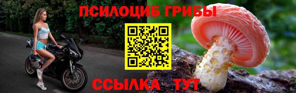 Псилоцибиновые грибы Psilocybine cubensis Белебей
